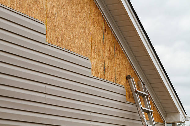 Professional Siding Inspection technician working in Haddam, CT